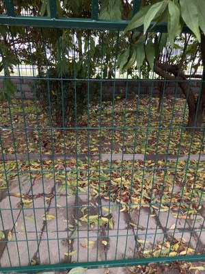 果園圍欄網(wǎng) 守護(hù)豐收的專(zhuān)屬衛(wèi)士