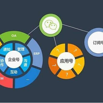 濟南路行網絡軟件開發 企業數字化轉型中的得力伙伴